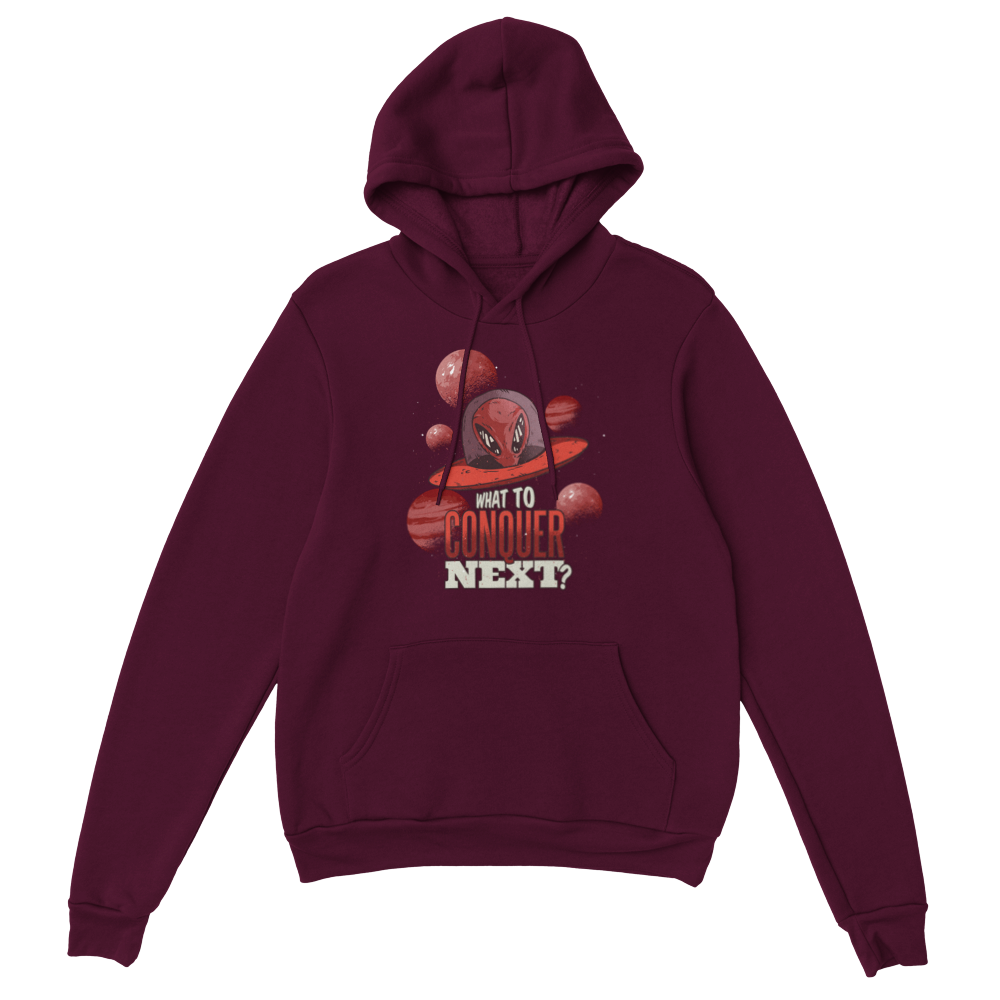 What to conquer Unisex Pullover Hoodie